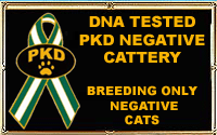 PKD tested